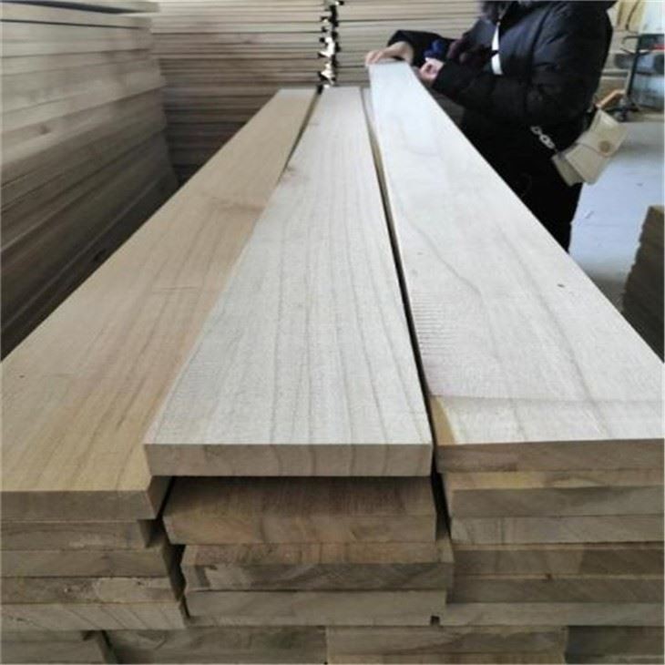 Kiri Paulownia