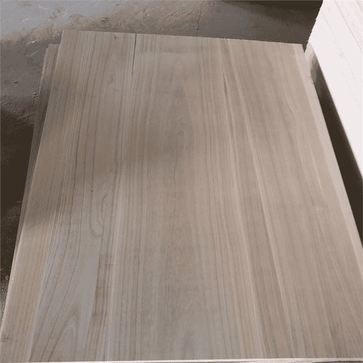 Kiri Paulownia